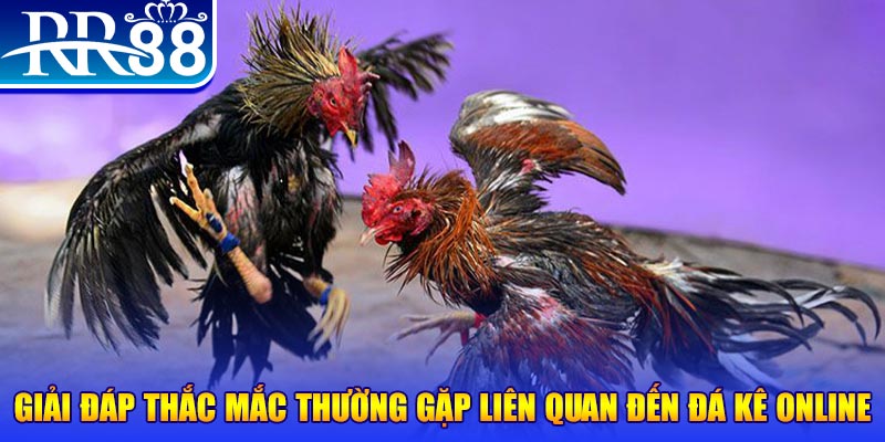 hit clup sòng bạc ĐĂNG KÝ